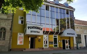 Pensiunea Stefan